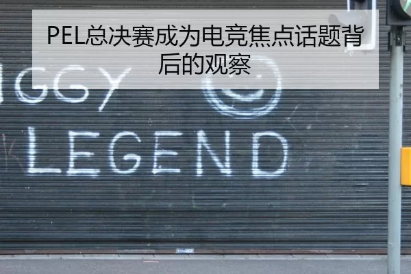 PEL总决赛成为电竞焦点话题背后的观察